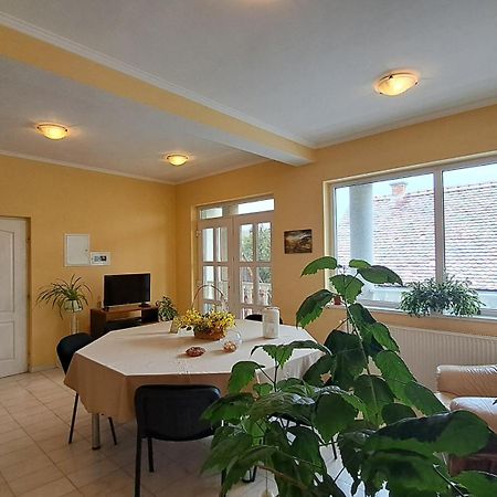 Erika Panzio Bed and Breakfast Ditrău Exteriör bild