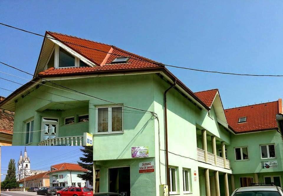 Erika Panzio Bed and Breakfast Ditrău Exteriör bild