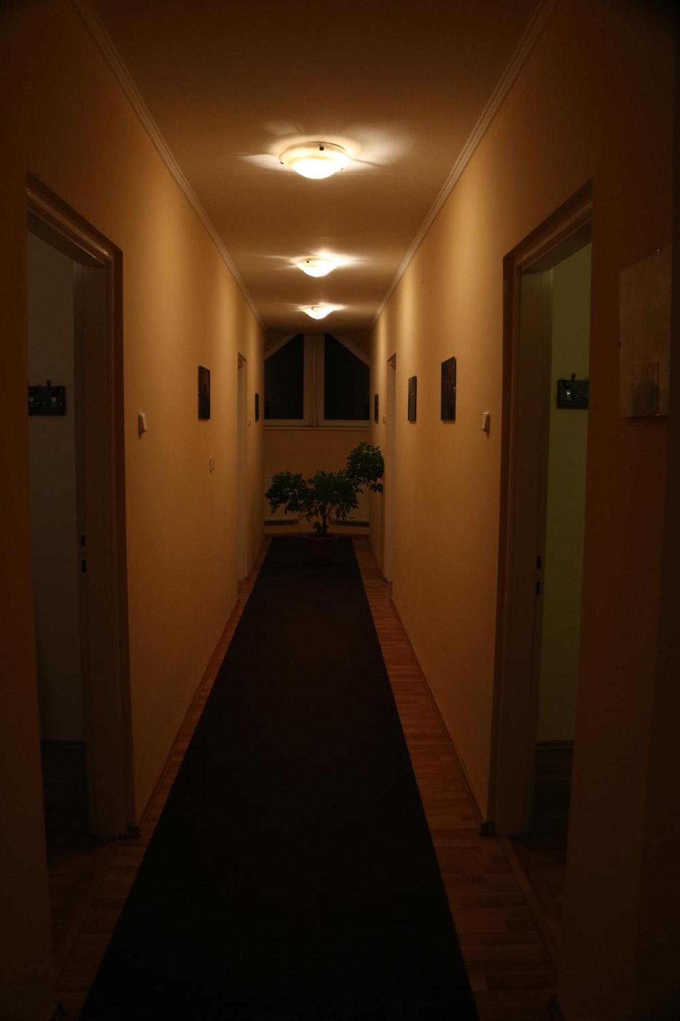 Erika Panzio Bed and Breakfast Ditrău Exteriör bild